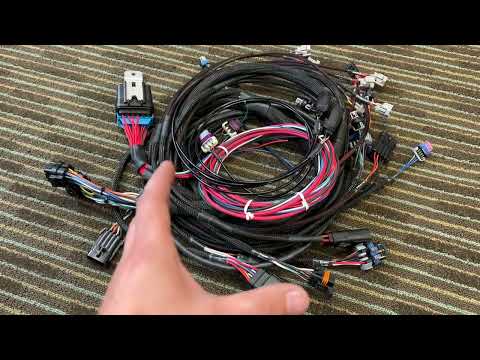 HCR custom Holley EFI wiring harness