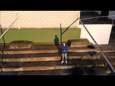 DJI MAVIC MINI VS  DJI TELLO