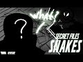 SNAKES REVERSIDE SECRET FILES