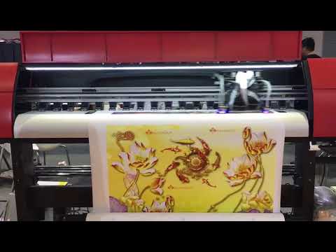 Allwin Eco Solvent Printer with Epson Head single