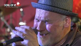 Paul Carrack - What&#39;s Going On | Song Of My Life