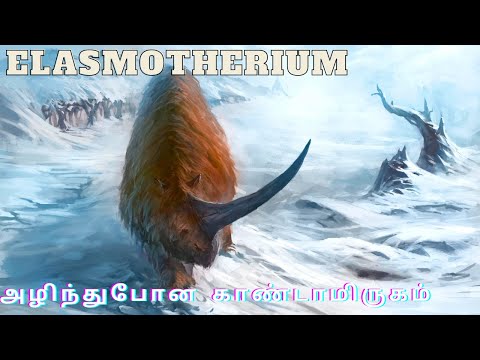 Giant Siberian Unicorn - Elasmotherium || Prehistoric Extinct Mammel