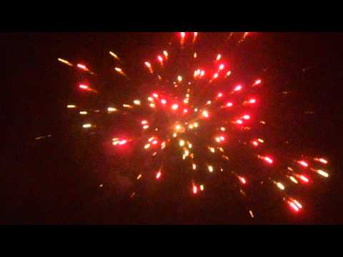 TB79 Dragon's Tail - Tropic