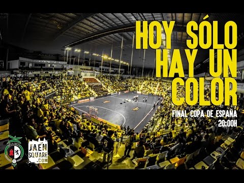 Resumen final Copa de España 2015 campeón Jaén FS