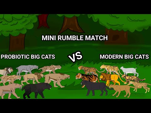 Mini rumble match big cats vs prehistoric big cats animation—all animation