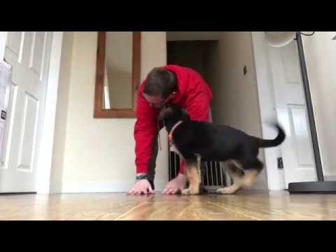 Will's Workout - ZUU In 2