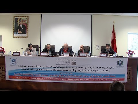 خطة العمل الوطنية في مجال الديمقراطية وحقوق الإنسان تتويج لدينامية الإصلاحات التي انخرط فيها المغرب