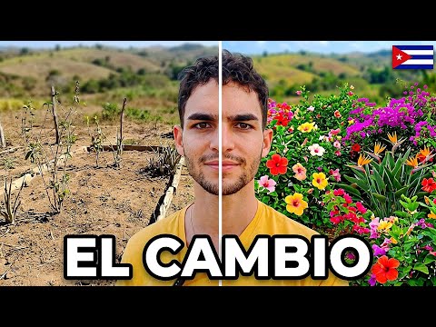 Así llené mi Jardín de FLORES en este Campo Cubano | Una tarde Conmigo🇨🇺
