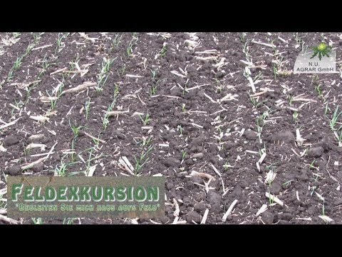 82. Feldexkursion: Getreidebeize - NU Agrar, 21.09.2017