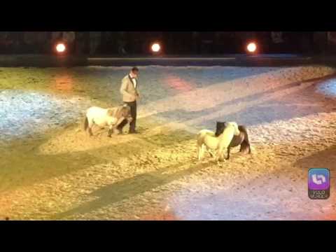 Apassionata 2016 Biel Bienne Tissot Arena