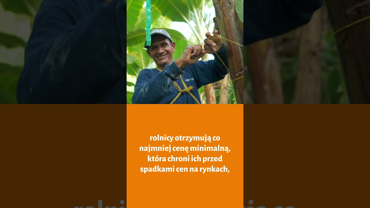 Dlaczego warto wybierać banany FAIRTRADE?