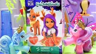 Sweet Box Enchantimals Toys!