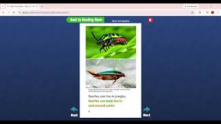 Level G.Meet the Beetles