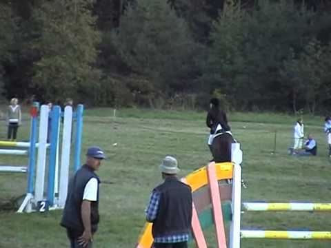 Lady Sussy, 2007, Döbrönte, Megyei felnőtt bajnokság összevetés