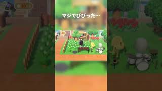 マジでびびった…【あつ森】#Shorts