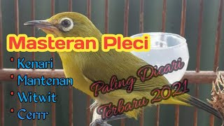 Download lagu MASTERAN PLECI NEMBAK KENARI MANTENAN WITWIT TULIT TULIT -  SUARA LEBIH JERNIH mp3