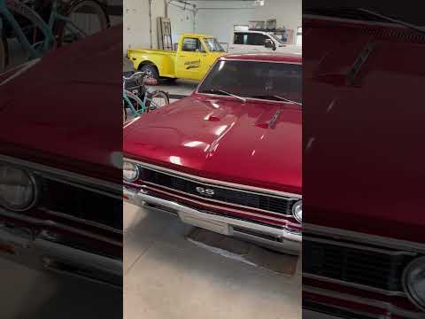 1966 Chevrolet Chevelle (CC-1837508) for sale in Burr Oak, Michigan