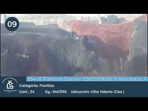 Lote NV UE HILTON  Villa Valeria Córdoba