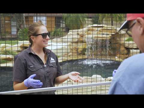Zambi Wildlife Retreat
