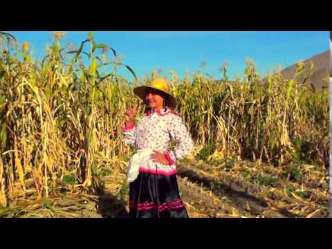 AREQUIPA 01 - La Idelfonsa - VIDEO CLIP de Arturo García "El Chacarero"