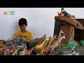 THE LION KING 2019 Pride Rock Scene With More Than 100 Animal Toys