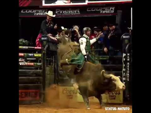 STATUS DE RODEIO /PBR 👊🏼‼🍀🍀