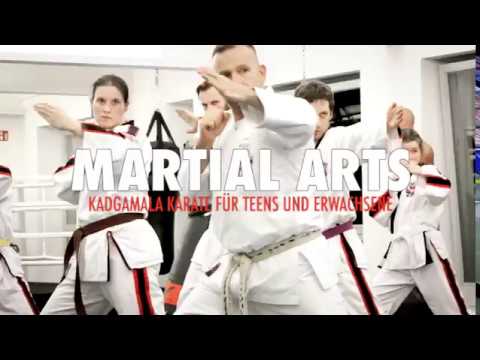 LEMMENS Overview 2017