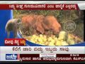 Janasri News Novu Gedda Sidda Save Elephant Sidda Story Part 2