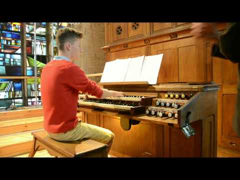 Penguins' Playtime - Nigel Ogden - by Antoine Anneessens