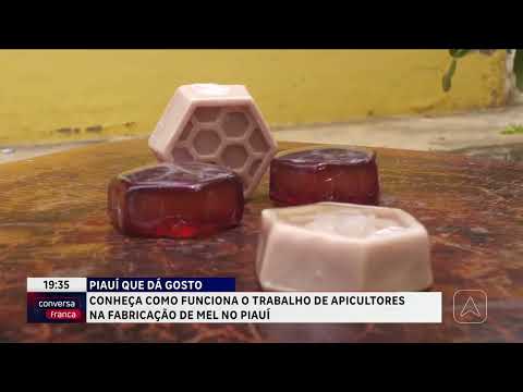 Conheça como funciona o trabalho de apicultores na fabricação de mel no Piauí
