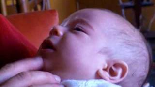 La hermana de la coneja