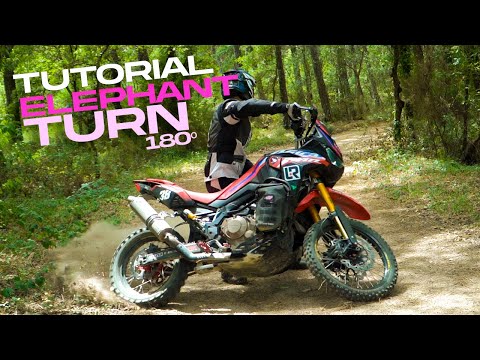 🐘 Elephant Spin 180º with subtitles 🐘