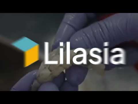 little asia 