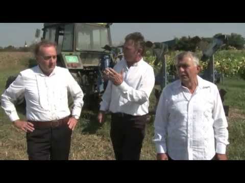 Banijska pjevačka grupa ŠAMARICA - Komšinica