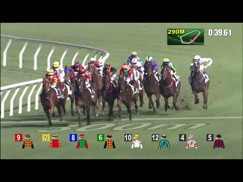 16/2/2022 (425) Multimore - Dylan Mo