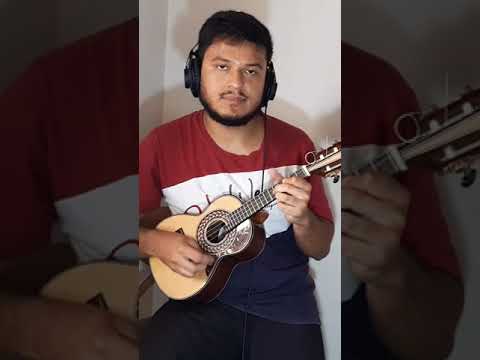 Sou Mais O Samba - Candeia
