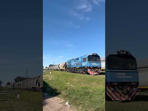 ¡Una Dalian por Alcorta rumbo a un nuevo carguío de granos! - Abril 2025