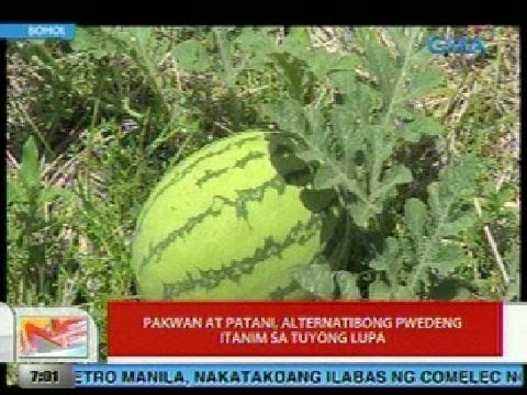 Bilang na kailangan mong maglakad sa isang araw naglalakad para sa pagbaba ng timbang Ay posible na mawalan ng timbang sa exercise strap