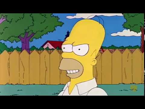 The Simpsons - Homer's Wish