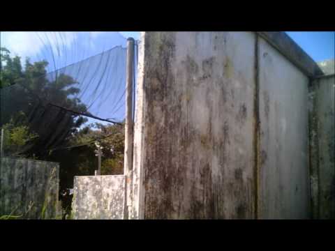 Expresso Oriente Arena Canoas