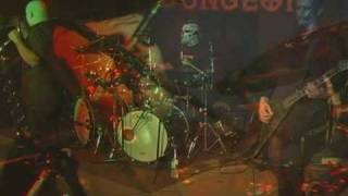 State Of Insomnia Perfect Misery