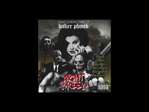 BAKER YA MAKER x AYOZA x DJ AKOZA - NOW YA DEAD