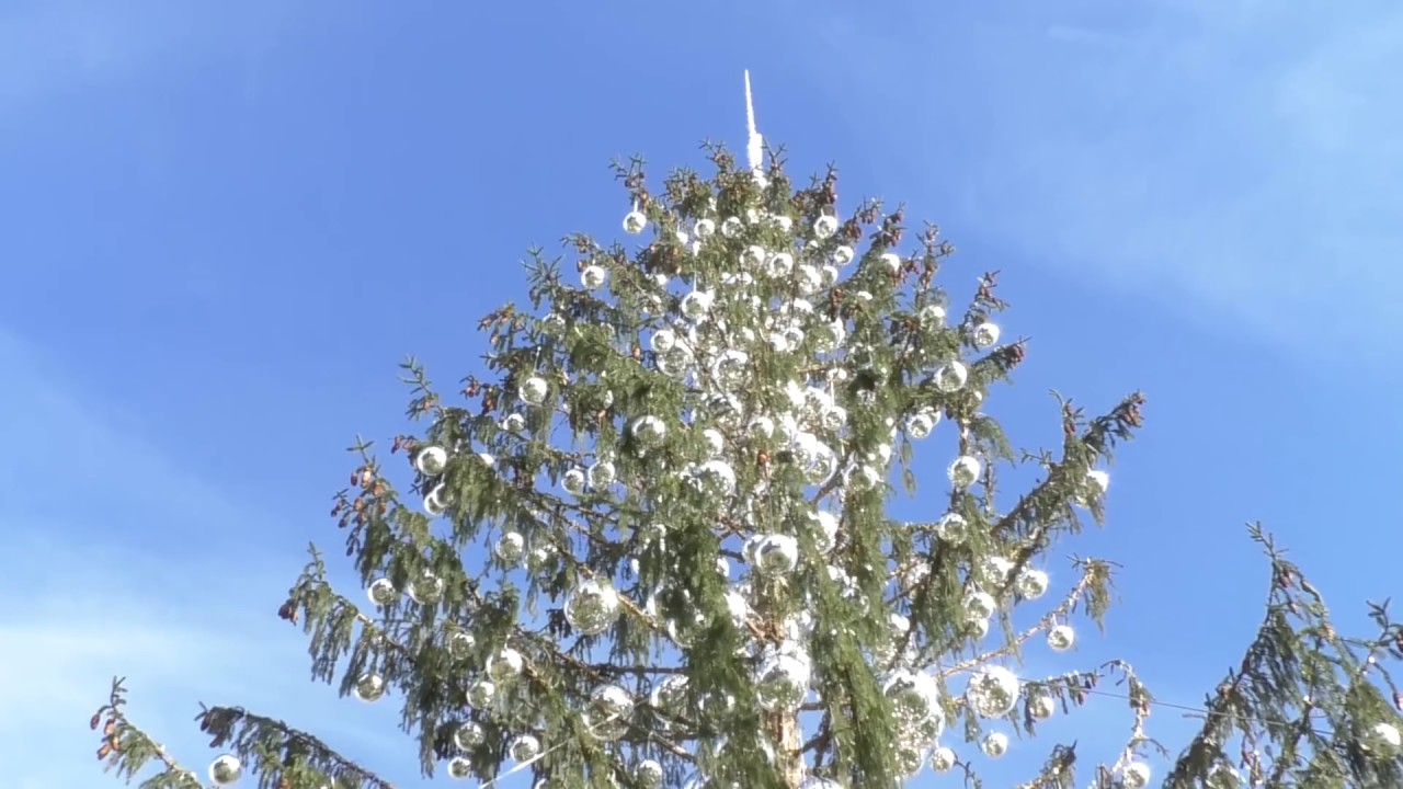 L’addio a “Spelacchio”, l’albero di Natale di Piazza Venezia a Roma