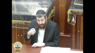 סוגיית בחסידות בנושא ברכת ה' היא תעשיר חלק ג' הרב יוסף קליין שנת תשפ"ד