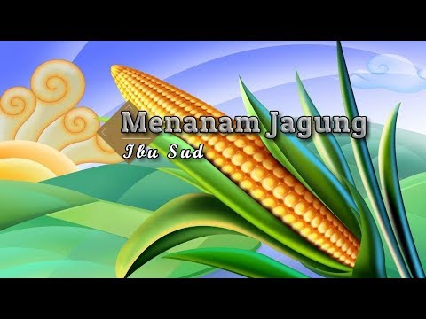 Download Instrumen Lagu Anak Menanam Jagung Mp3 Dan Mp4 Terlengkap Gratis Gillub Mp3