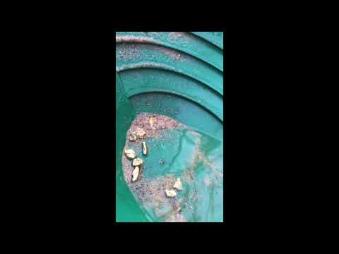Goldn Paydirt - Gold Panning