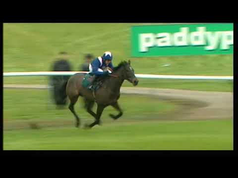 2010 Injured Jockeys' Fund Oaksey House Novices' Chase