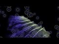 Saint Lou Lou - Maybe You (original) - Kitsuné ...