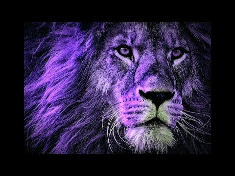 Trap Fooley - Car Crash_Screwed