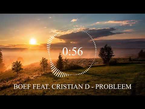 BOEF FEAT. CRISTIAN D - PROBLEEM